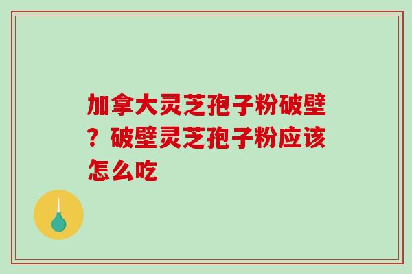 加拿大灵芝孢子粉破壁？破壁灵芝孢子粉应该怎么吃