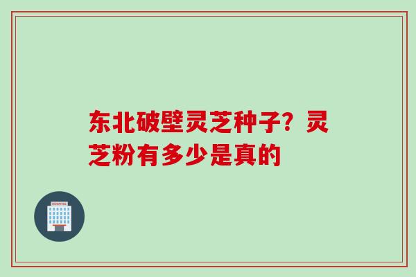 东北破壁灵芝种子?灵芝粉有多少是真的 东北破壁灵芝种子?灵芝粉有多少是真的