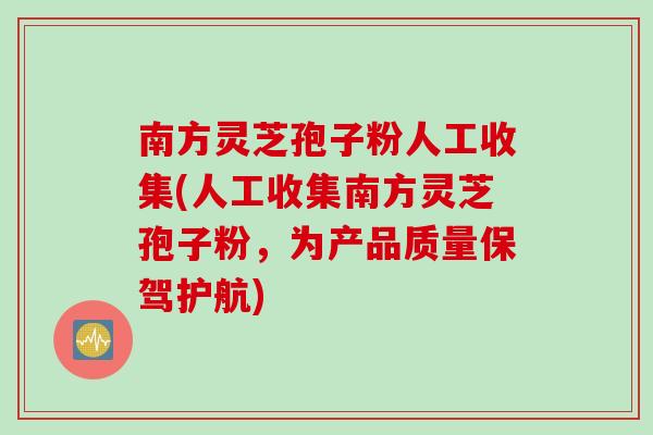 南方灵芝孢子粉人工收集(人工收集南方灵芝孢子粉，为产品质量保驾护航)