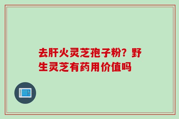 去肝火灵芝孢子粉？野生灵芝有药用价值吗