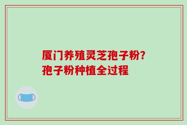 厦门养殖灵芝孢子粉？孢子粉种植全过程