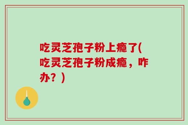 吃灵芝孢子粉上瘾了(吃灵芝孢子粉成瘾，咋办？)