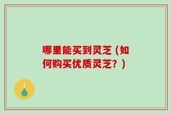 哪里能买到灵芝 (如何购买优质灵芝？)