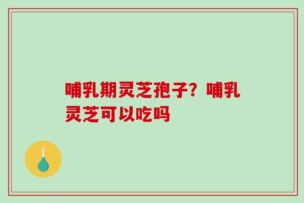 哺乳期灵芝孢子？哺乳灵芝可以吃吗