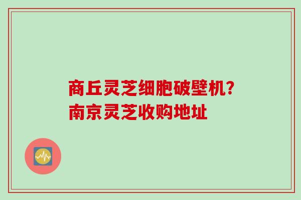 商丘灵芝细胞破壁机？南京灵芝收购地址