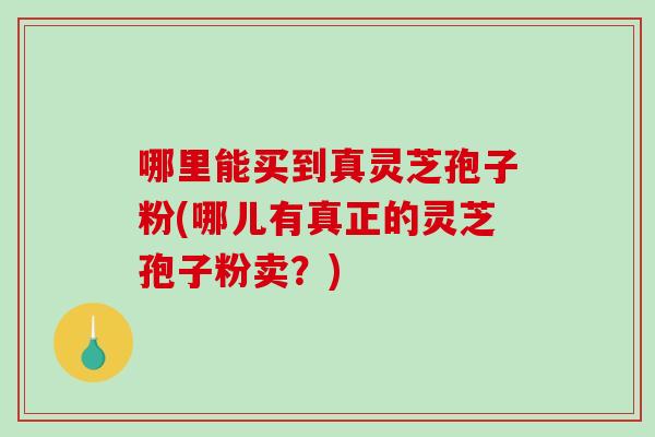 哪里能买到真灵芝孢子粉(哪儿有真正的灵芝孢子粉卖？)