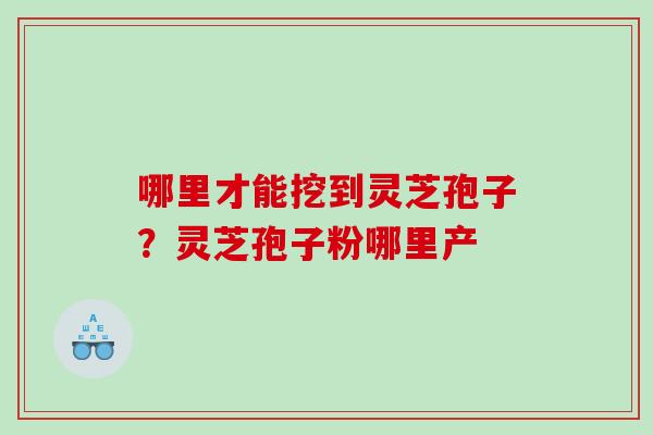 哪里才能挖到灵芝孢子？灵芝孢子粉哪里产