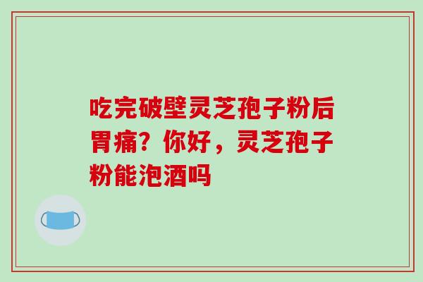 吃完破壁灵芝孢子粉后胃痛？你好，灵芝孢子粉能泡酒吗