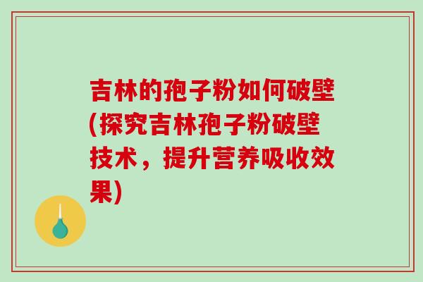 吉林的孢子粉如何破壁(探究吉林孢子粉破壁技术，提升营养吸收效果)