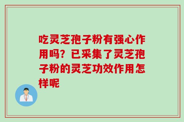 吃灵芝孢子粉有强心作用吗？已采集了灵芝孢子粉的灵芝功效作用怎样呢