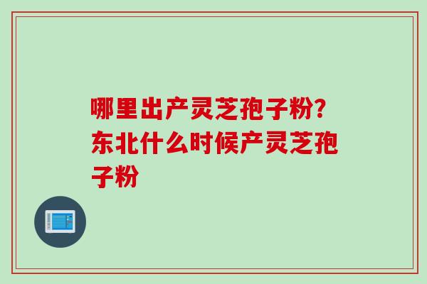 哪里出产灵芝孢子粉？东北什么时候产灵芝孢子粉