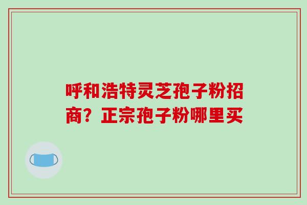 呼和浩特灵芝孢子粉招商？正宗孢子粉哪里买
