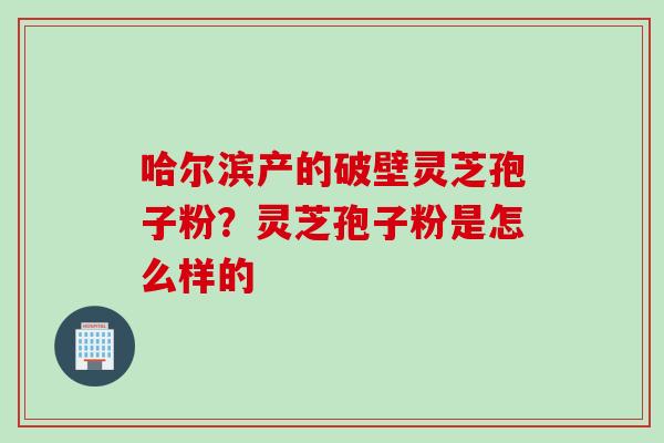 哈尔滨产的破壁灵芝孢子粉？灵芝孢子粉是怎么样的
