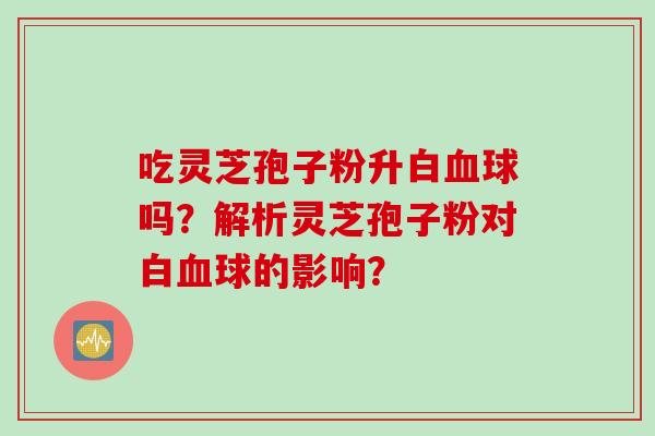 吃灵芝孢子粉升白球吗?解析灵芝孢子粉对白球的影响? 吃灵芝孢子粉升白球吗?解析灵芝孢子粉对白球的影响?