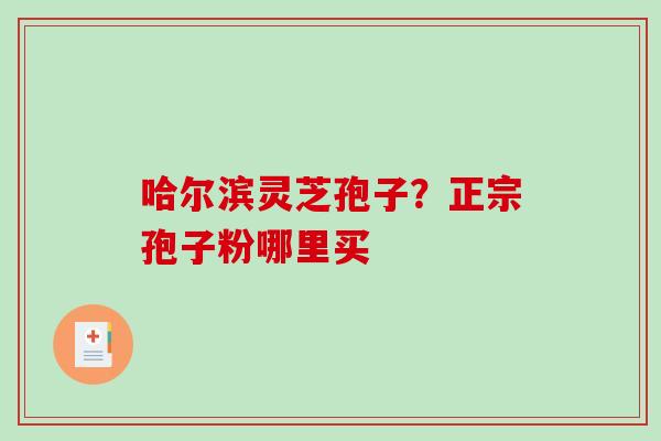 哈尔滨灵芝孢子？正宗孢子粉哪里买
