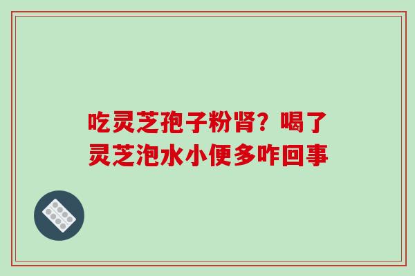吃灵芝孢子粉肾？喝了灵芝泡水小便多咋回事