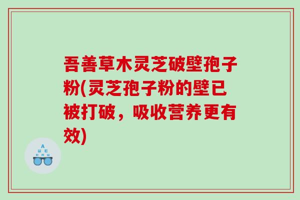 吾善草木灵芝破壁孢子粉(灵芝孢子粉的壁已被打破，吸收营养更有效)