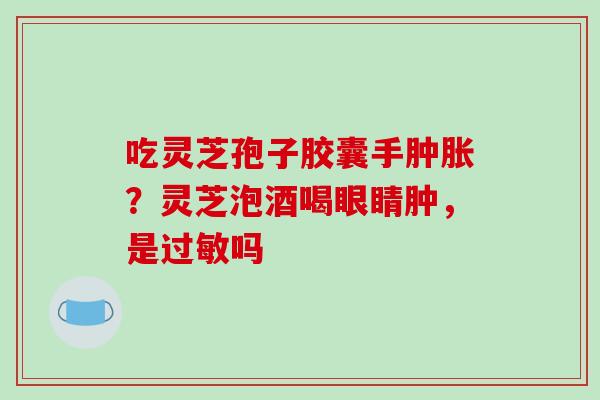吃灵芝孢子胶囊手肿胀？灵芝泡酒喝眼睛肿，是过敏吗