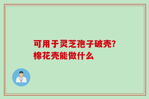 可用于灵芝孢子破壳？棉花壳能做什么