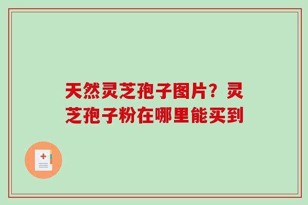 天然灵芝孢子图片？灵芝孢子粉在哪里能买到