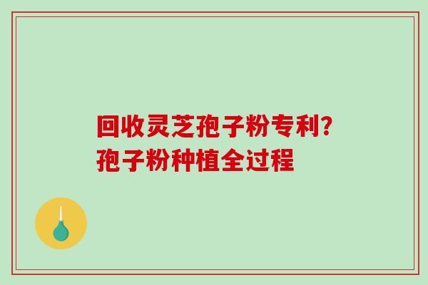 回收灵芝孢子粉专利？孢子粉种植全过程