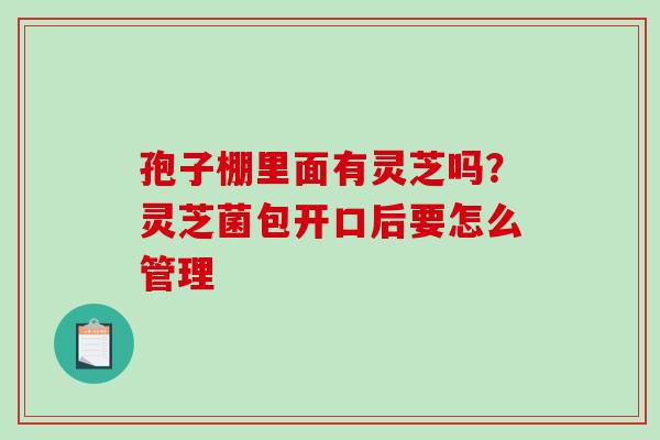 孢子棚里面有灵芝吗？灵芝菌包开口后要怎么管理