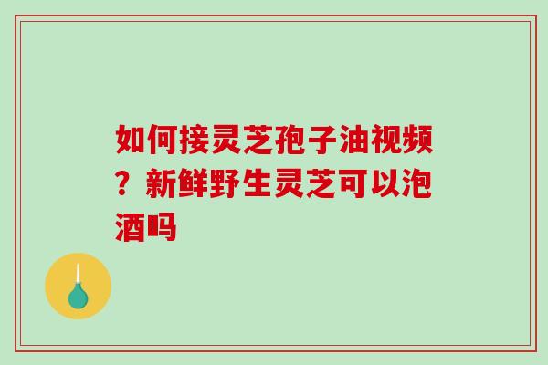 如何接灵芝孢子油视频？新鲜野生灵芝可以泡酒吗