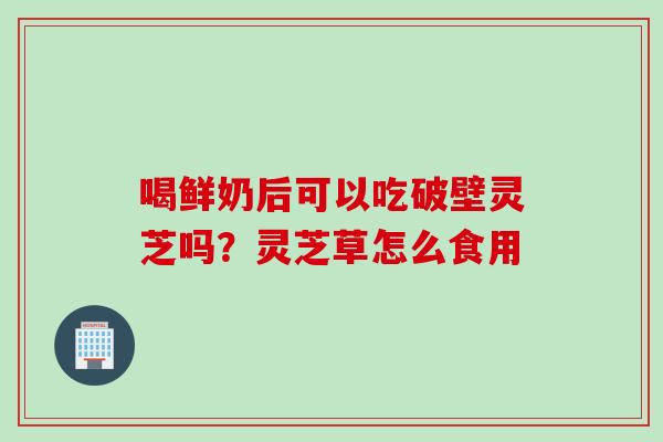 喝鲜奶后可以吃破壁灵芝吗？灵芝草怎么食用