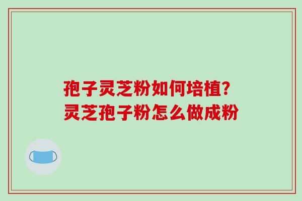 孢子灵芝粉如何培植？灵芝孢子粉怎么做成粉