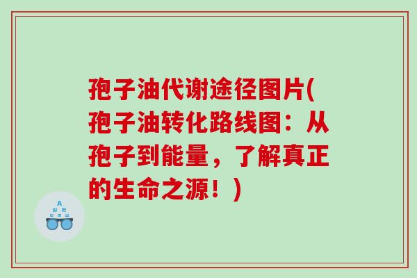 孢子油代谢途径图片(孢子油转化路线图：从孢子到能量，了解真正的生命之源！)