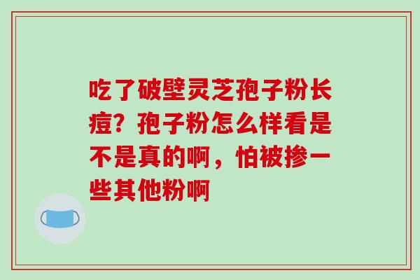 吃了破壁灵芝孢子粉长痘？孢子粉怎么样看是不是真的啊，怕被掺一些其他粉啊