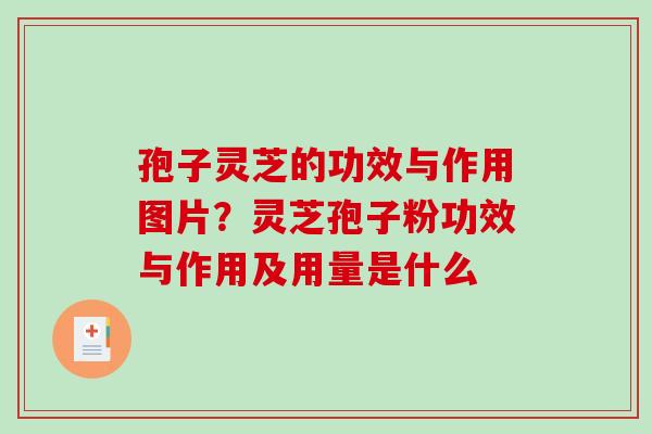孢子灵芝的功效与作用图片？灵芝孢子粉功效与作用及用量是什么