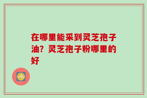 在哪里能采到灵芝孢子油？灵芝孢子粉哪里的好