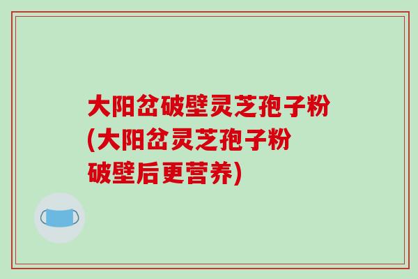 大阳岔破壁灵芝孢子粉(大阳岔灵芝孢子粉 破壁后更营养)