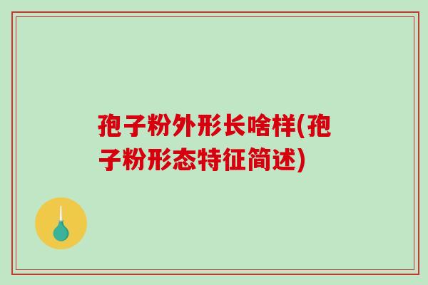 孢子粉外形长啥样(孢子粉形态特征简述)