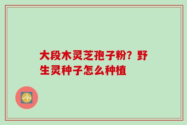 大段木灵芝孢子粉？野生灵种子怎么种植
