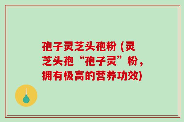 孢子灵芝头孢粉 (灵芝头孢“孢子灵”粉，拥有极高的营养功效)