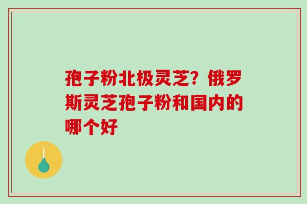 孢子粉北极灵芝？俄罗斯灵芝孢子粉和国内的哪个好