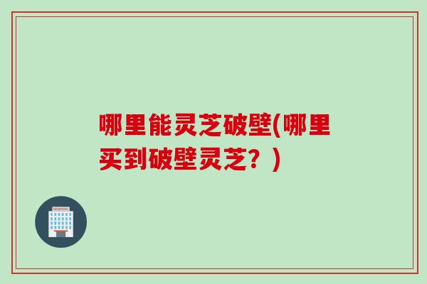 哪里能灵芝破壁(哪里买到破壁灵芝？)