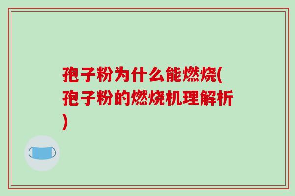孢子粉为什么能燃烧(孢子粉的燃烧机理解析)