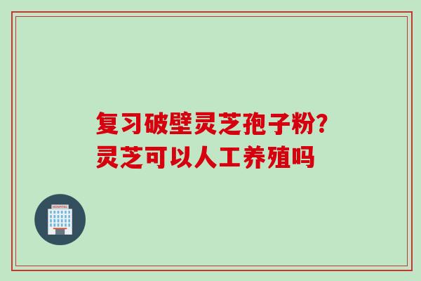 复习破壁灵芝孢子粉？灵芝可以人工养殖吗