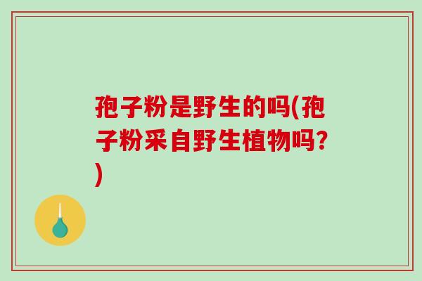 孢子粉是野生的吗(孢子粉采自野生植物吗？)