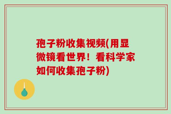 孢子粉收集视频(用显微镜看世界！看科学家如何收集孢子粉)