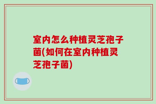 室内怎么种植灵芝孢子菌(如何在室内种植灵芝孢子菌)