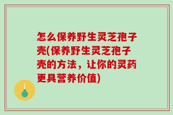 怎么保养野生灵芝孢子壳(保养野生灵芝孢子壳的方法，让你的灵药更具营养价值)