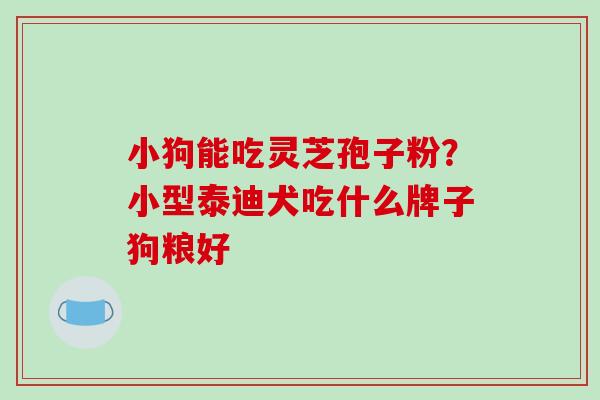 小狗能吃灵芝孢子粉？小型泰迪犬吃什么牌子狗粮好