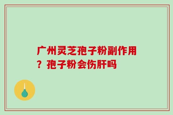 广州灵芝孢子粉副作用？孢子粉会伤肝吗
