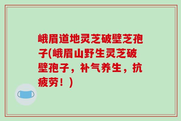 峨眉道地灵芝破壁芝孢子(峨眉山野生灵芝破壁孢子，补气养生，抗疲劳！)