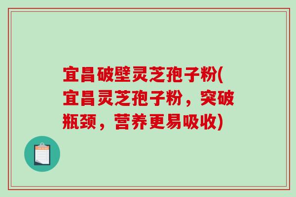 宜昌破壁灵芝孢子粉(宜昌灵芝孢子粉，突破瓶颈，营养更易吸收)