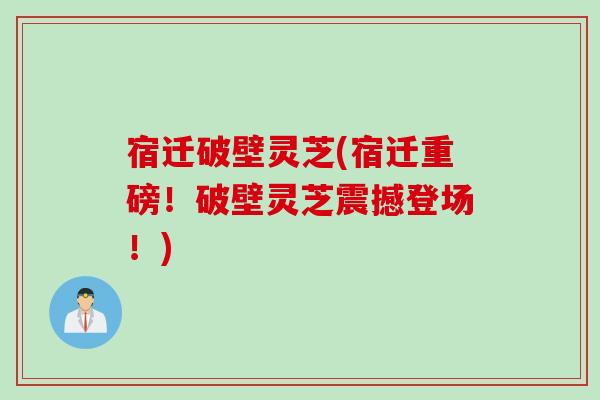 宿迁破壁灵芝(宿迁重磅！破壁灵芝震撼登场！)